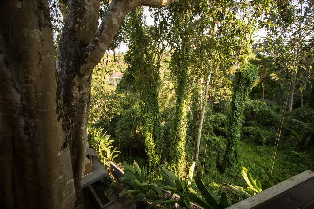 Hotel Labak River By Eps Ubud